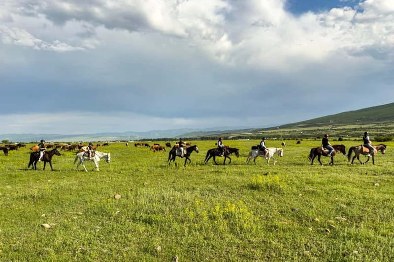 2-hour horse riding tour at Palomino Ranch - What Makes the Experience Special?