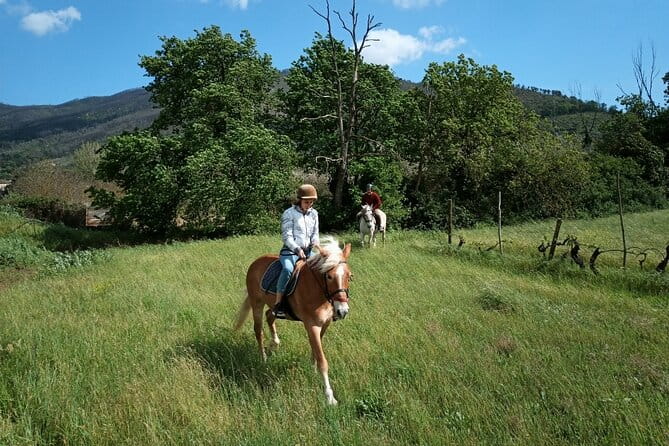 2 hour horseback ride for experts in Valgraziosa (Pisa) - Pricing and Overall Value