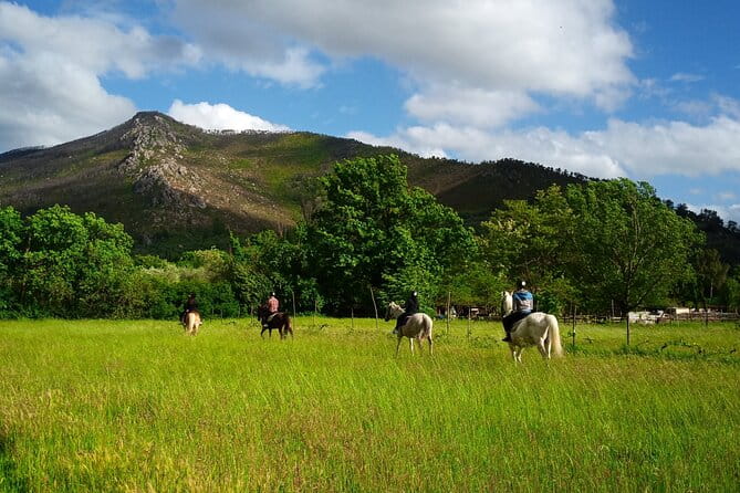 2 hour horseback ride for experts in Valgraziosa (Pisa) - Who Will Love This Ride