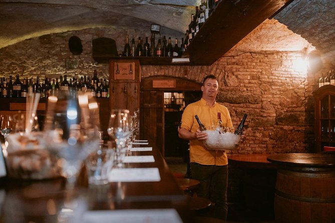 2-Hour Interactive Wine Tasting Experience in Ljubljana - Becoming a Slovenian Wine Ambassador