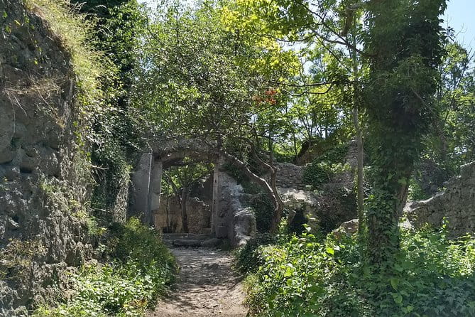 2-Hour Private Hiking Tour Helenental Castles Hike from Vienna - The Cost and What You Get for the Price