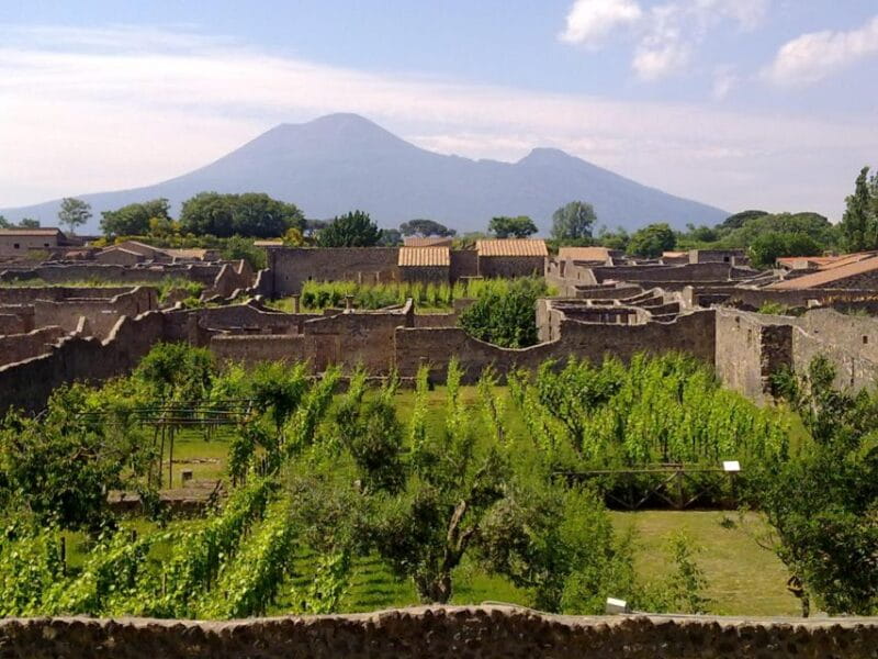 2-Hour Private Walking Tour of Pompeii - Price and logistics: Is it worth it?