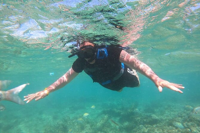 2 Hour Speed Boat and Snorkeling Adventure in Punta Cana - Overview of the Tour