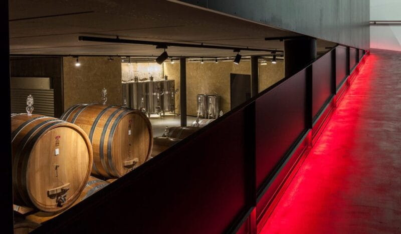 2-hours Amarone Wine Tour with Sommelier Wine Tastings - Who Will Love This Tour?