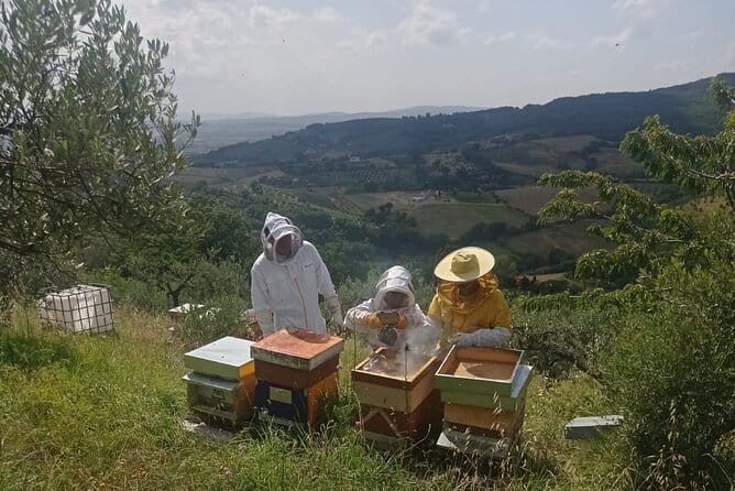 2 hours Beekeeping and Honey Tasting Activities in Assisi - Discovering the Sweet Side of Assisi: A 2-Hour Beekeeping and Honey Tasting Tour