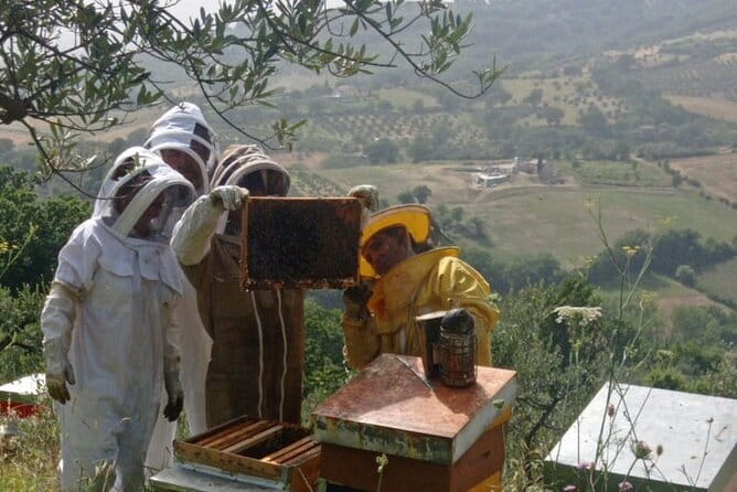 2 hours Beekeeping and Honey Tasting Activities in Assisi - Price and Practicalities: Is It Worth It?