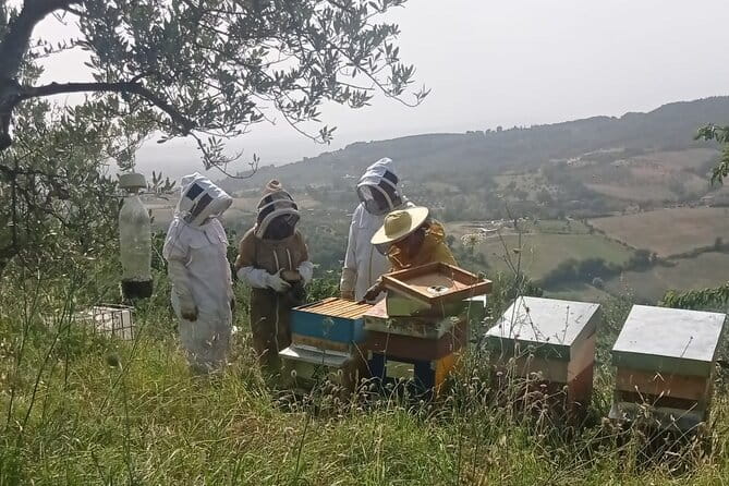 2 hours Beekeeping and Honey Tasting Activities in Assisi - Who Should Consider This Tour?