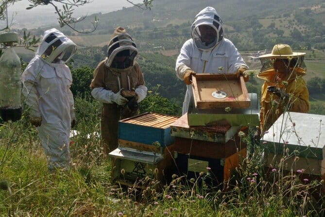2 hours Beekeeping and Honey Tasting Activities in Assisi - The Sum Up