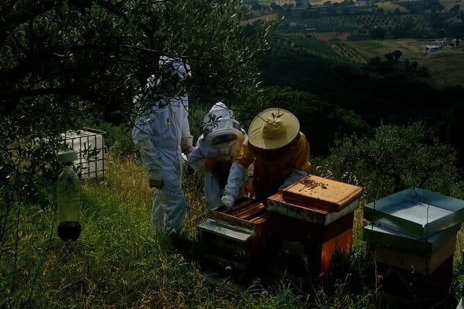 2 hours Beekeeping and Honey Tasting Activities in Assisi - FAQ
