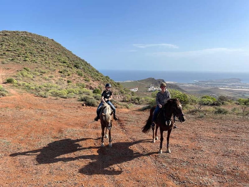 2 hours Green Mountains Horse Riding Tour - Discovering Gran Canaria’s Green Mountains by Horseback