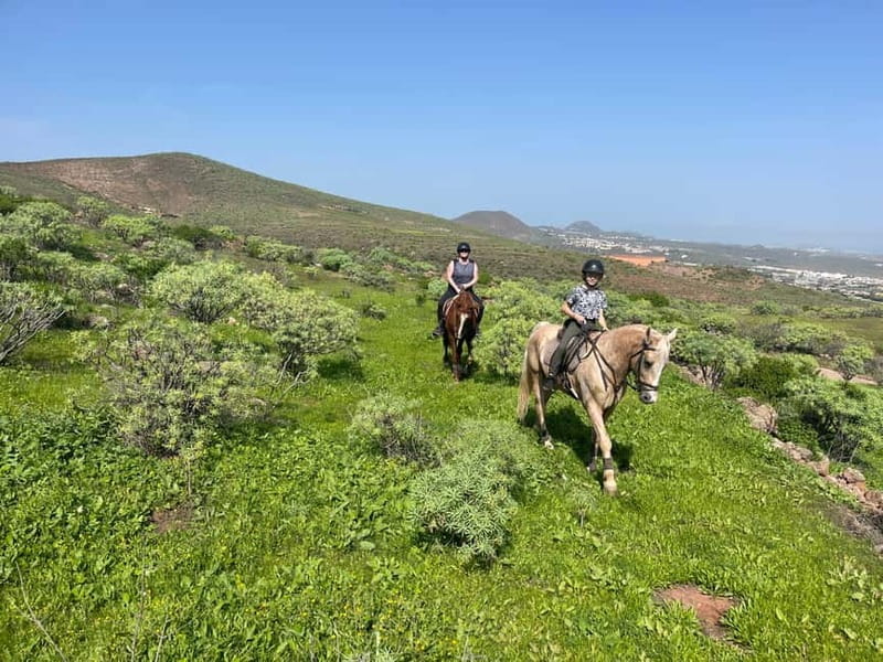 2 hours Green Mountains Horse Riding Tour - The Unique Landscape and Highlights of the Ride