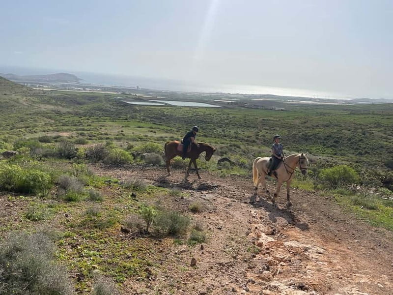 2 hours Green Mountains Horse Riding Tour - Practical Details: What to Expect and How to Prepare