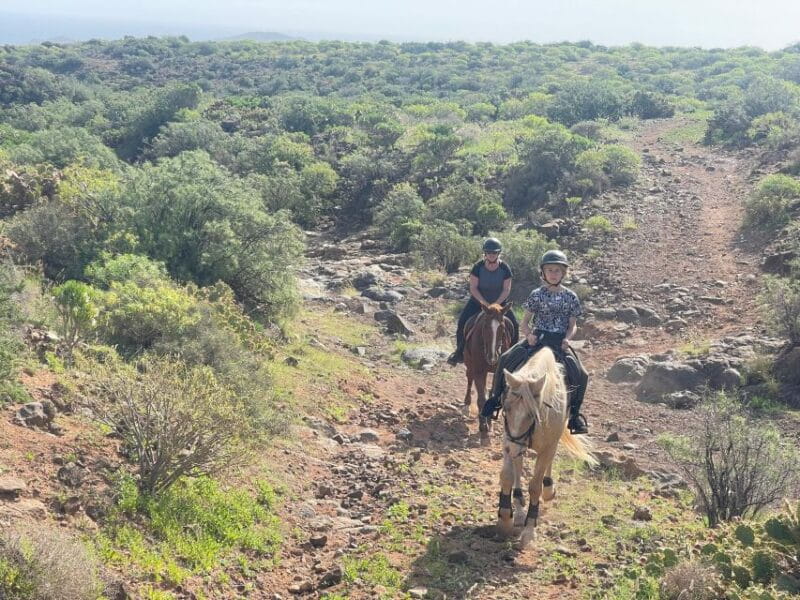 2 hours Green Mountains Horse Riding Tour - Who Will Love This Experience?