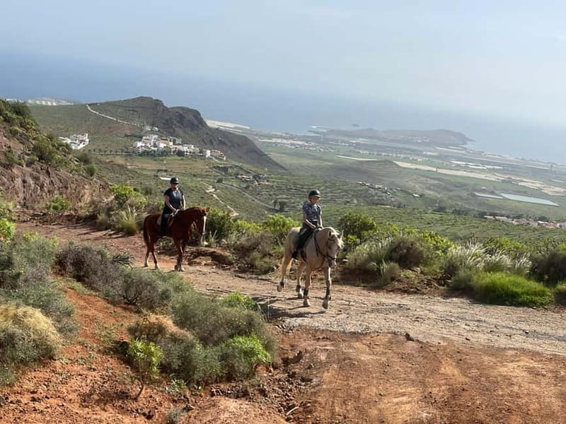 2 hours Green Mountains Horse Riding Tour - Price and Overall Value