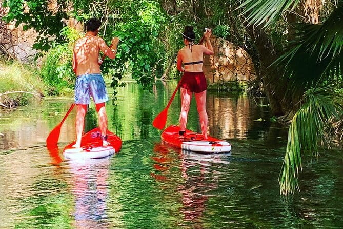 2 Hours guided tour in Sup in the Syracuse coast - Key points / Takeaways