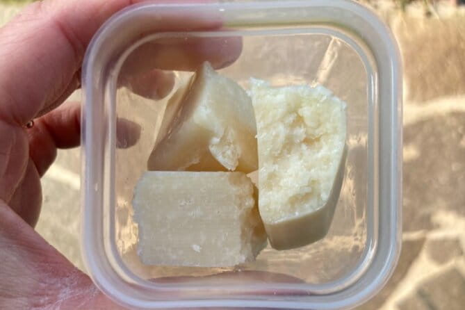 2 Hours Guided Walking Tour in Parma with Culinary Stop - FAQ for the Parma Walking Tour