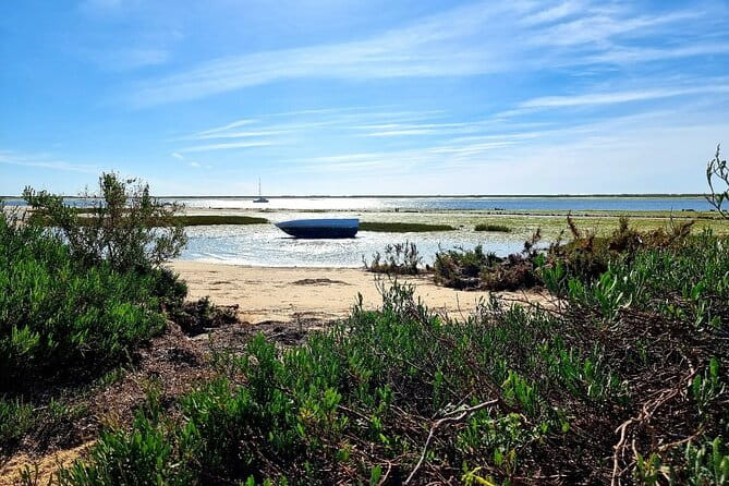 2 Hours Kayak Island Tour in the Natural Park of Ria Formosa - Entering the Natural Wonderland of Ria Formosa