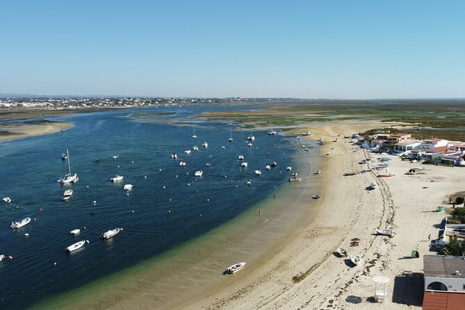 2 Hours Kayak Island Tour in the Natural Park of Ria Formosa - Who This Tour Is Perfect For