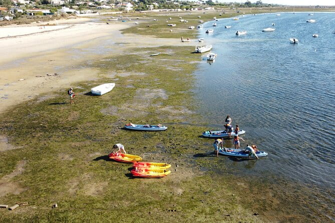 2 Hours Kayak Island Tour in the Natural Park of Ria Formosa - Final Thoughts: Is It Worth It?