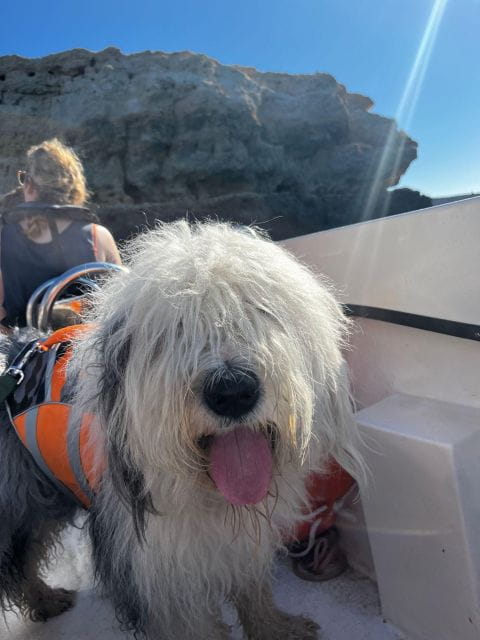 2 Hours Private Benagil Caves and Beaches Boat Tour - Safety and Comfort Measures