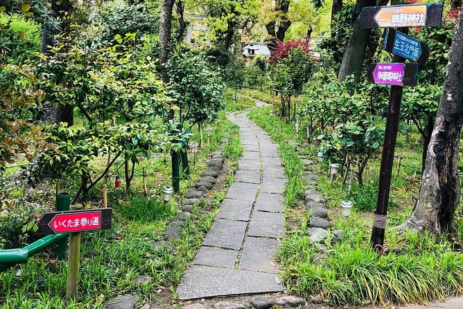 2 Hours Private Guided Walking Tour in Osaka - Booking and Cancellation Policy