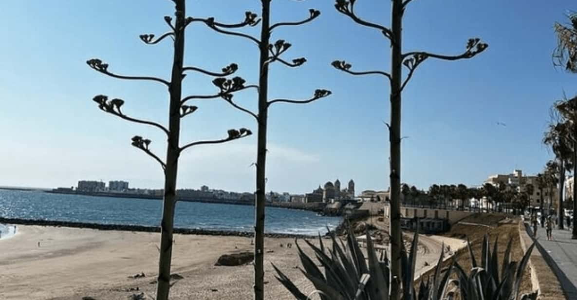 2 Hours Private Historical Tour in Cadiz - Key Points
