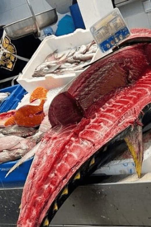 2 Hours Private Historical Tour in Cadiz - Accessibility Features