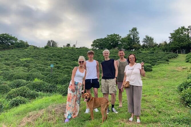 2 Hours Tea House and Tea Garden Trip in Ozurgeti Georgia - Entering The World of Georgian Tea at Taba