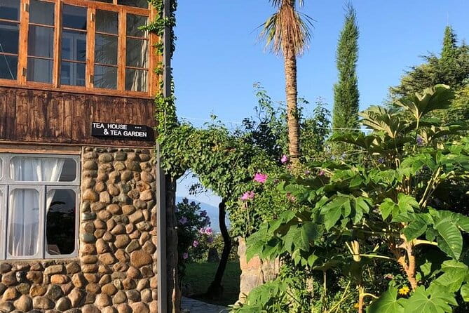 2 Hours Tea House and Tea Garden Trip in Ozurgeti Georgia - Tasting Georgian Tea with a Local Expert