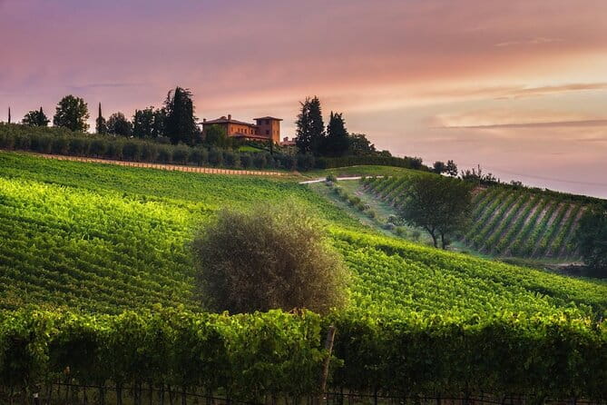 2 Hours Visit and Wine Tasting with tastings in Val D'Orcia - Introducing the Poggio del Moro Wine Experience in Val dOrcia