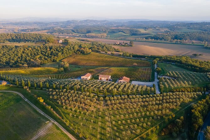 2 Hours Visit and Wine Tasting with tastings in Val D'Orcia - FAQ Section