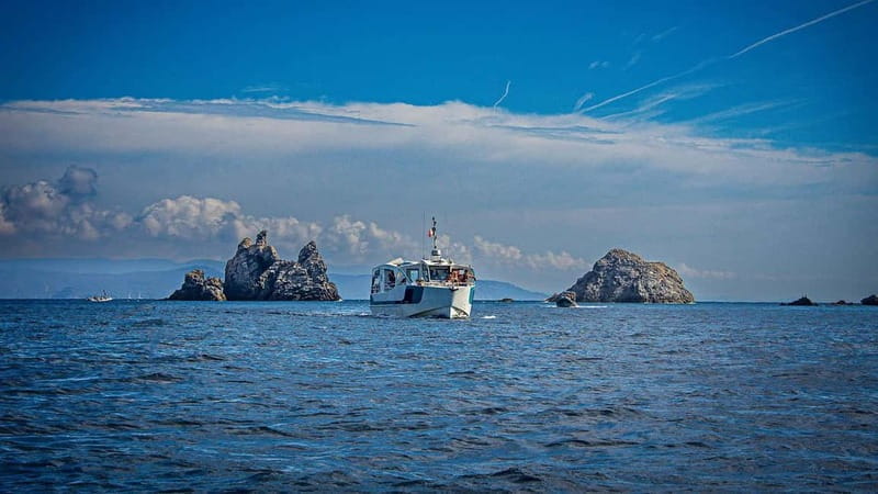 2 Islands Cruise: Porquerolles & Port-Cros with stops - Who Should Consider This Tour?