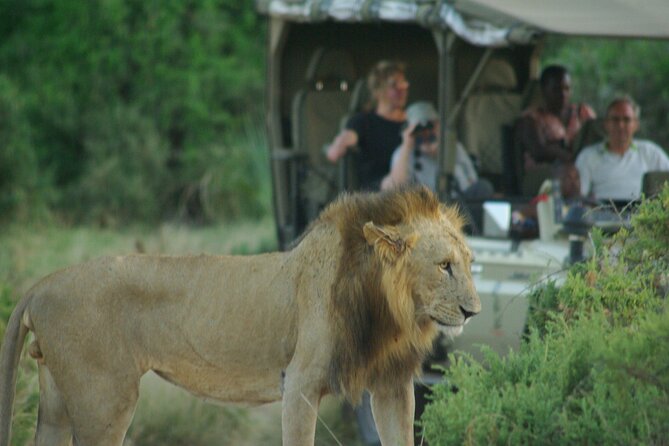 2 Nights 3 Days Masai Mara Safari Package - Inclusions