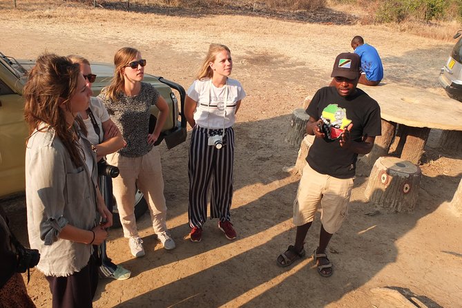 2 Nights 3 Days Safari to Mikumi National Park - Daily Safari Itinerary