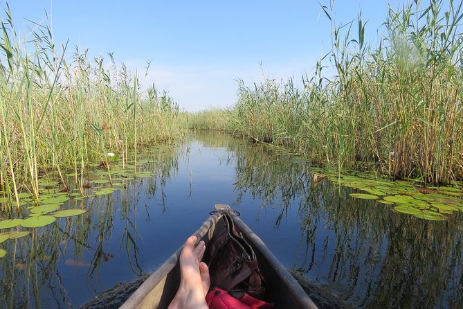 2 Nights Okavango Delta Mokoro Wildcamping Tour, All-Inclusive - Inclusions