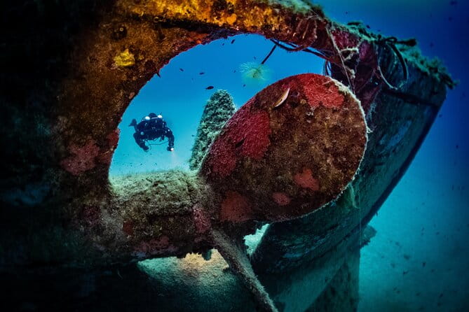 2 Scuba Fun Dives for Certified divers in St Paul's Bay - The Experience: What You Can Expect from the Malta Scuba Tour