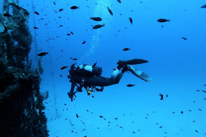 2 Scuba Fun Dives for Certified divers in St Paul's Bay - Price and Value: Is It Worth It?