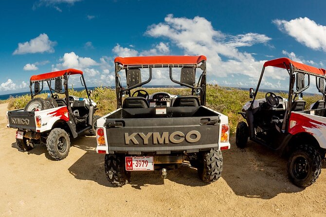 2-Seater UTV Island Tour in Aruba - Tour Reviews
