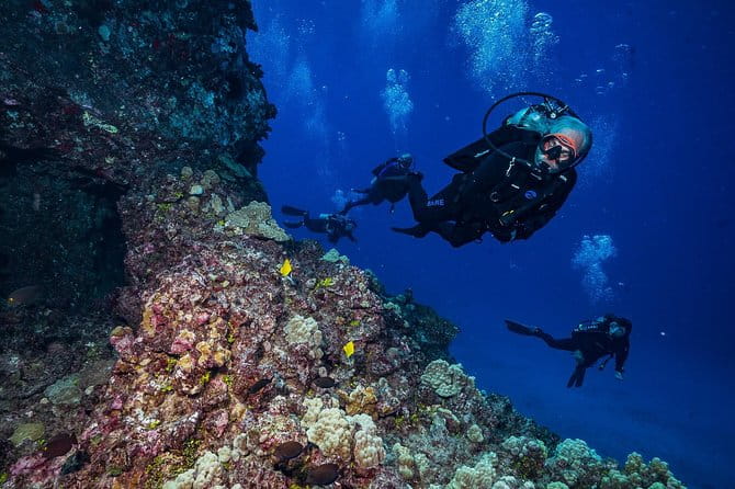 2 Tank Lanai Cathedral Scuba Dive (Boat) for Certified Divers - Experience Highlights