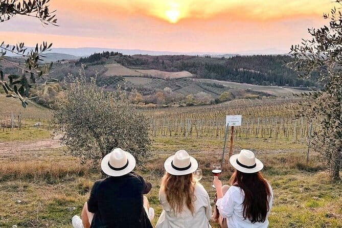 2 wineries Chianti Wine Tasting & Vineyards Walk Private Tour - A Closer Look at the Tour Experience