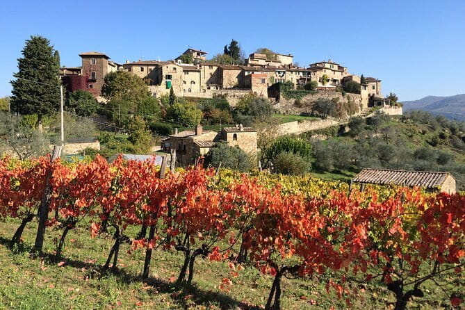 2 wineries Chianti Wine Tasting & Vineyards Walk Private Tour - Final Thoughts: Is This the Right Tuscany Experience for You?