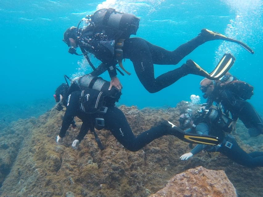 20 Minute Try Dive for Beginners - Cancellation Policy