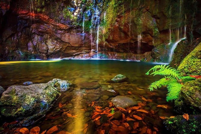 "25 Fountains" Walk / Lost In The Beautiful Forest - Key Points