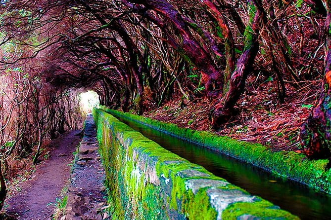 "25 Fountains" Walk / Lost In The Beautiful Forest - Final Verdict