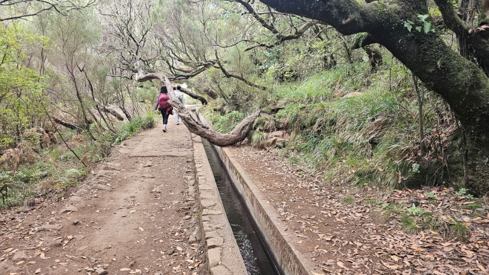 25 Levada Sources Hike - Rabacal (Calheta) - Levada Hiking Experience