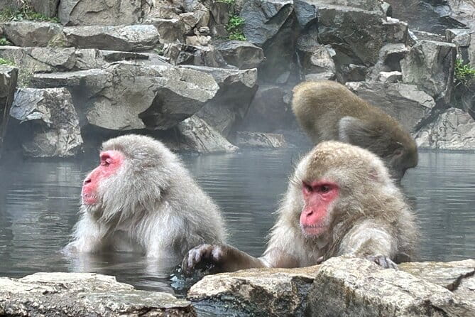 2DAYS 1NIGHT Private Tour, Tokyo~Nagano~Nagoya, 2-10 Guests - Customer Experience and Reviews