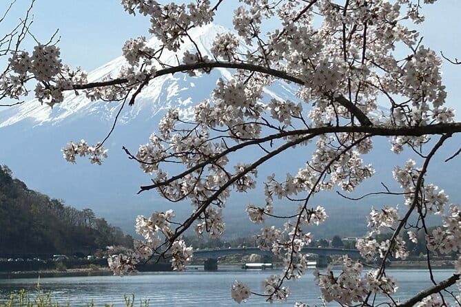 2DAYS 1NIGHT Private Tour, Tokyo~Nagano~Nagoya, 2-10 Guests - Frequently Asked Questions