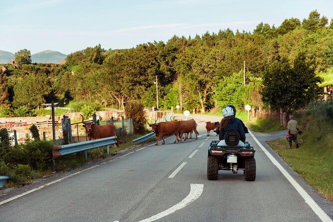 2h Quad Tour  Arcos de Valdevez  Peneda Gerês - Final Thoughts: Who Should Consider This Tour?