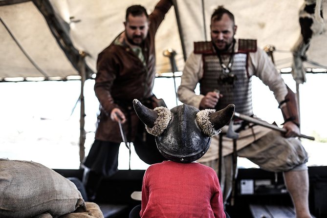 2h Viking Cruise Whales and Dolphins Watching - Whale and Dolphin Watching Opportunities