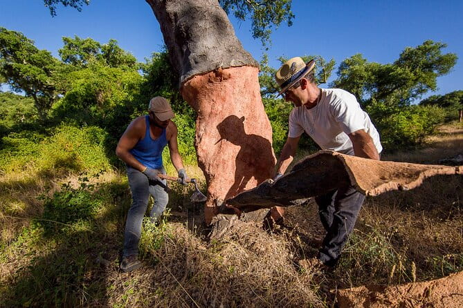 2hr Cork Tour in a Jeep - Key Points